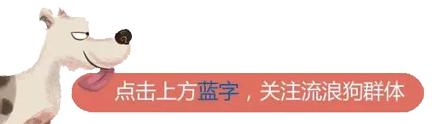 如何訓練狗狗定點排便？